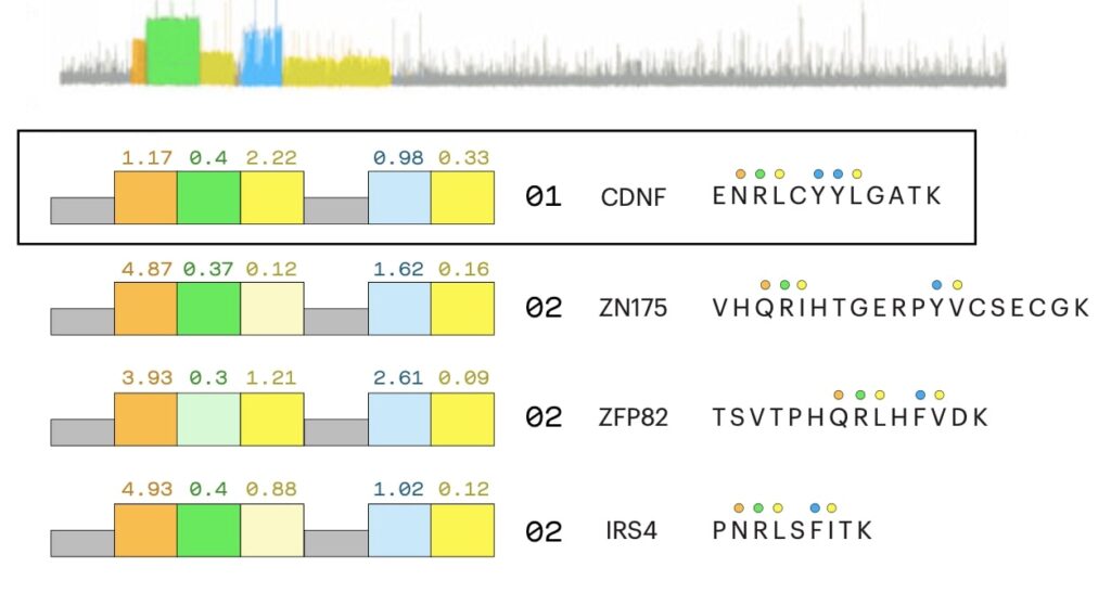 Protein Identification Applications Quantum Si