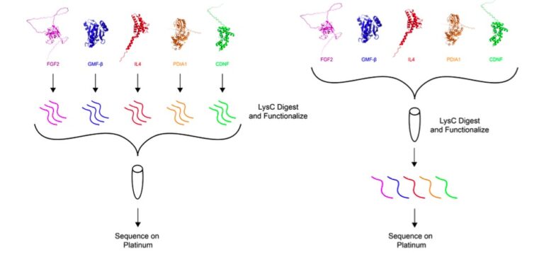 The Protein Sequencing Company™ | Quantum-Si